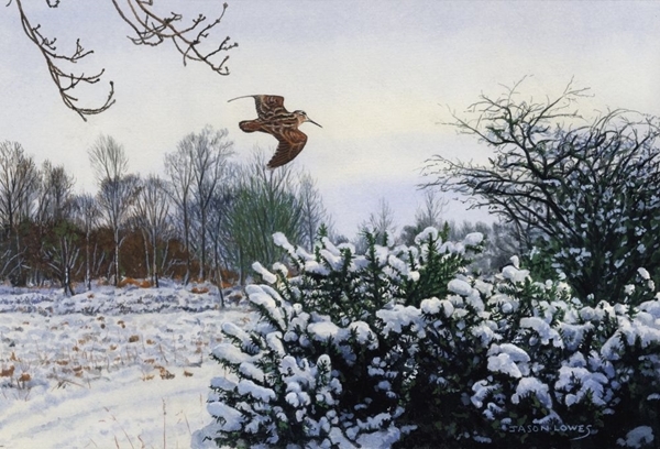 'Woodcock Over Gorse ' Jason Lowes