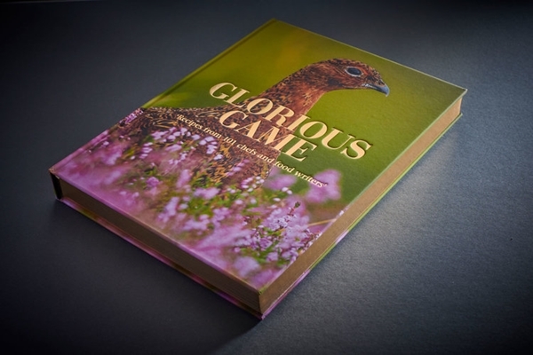 Glorious -game -cookbook -cover