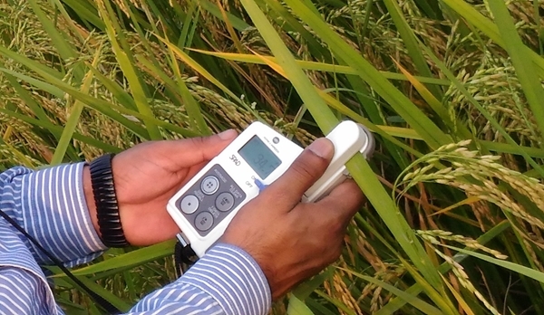 Chlorophyll _meter Chlorophyll _meter