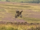 What The Ecologist doesn't want you to know: Our response to The Ecologist