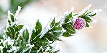 December