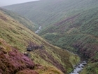 Publication of Werritty Review – statement from GWCT Scotland