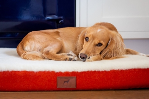 Red Dog Company 2 Red Dog Company 2