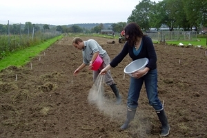 Sowing