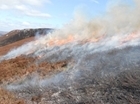 ‘Those opposed to heather burning in winter appear oblivious to it's vital role in reducing fuel for intense summer wildfires’: Our letter to The Times