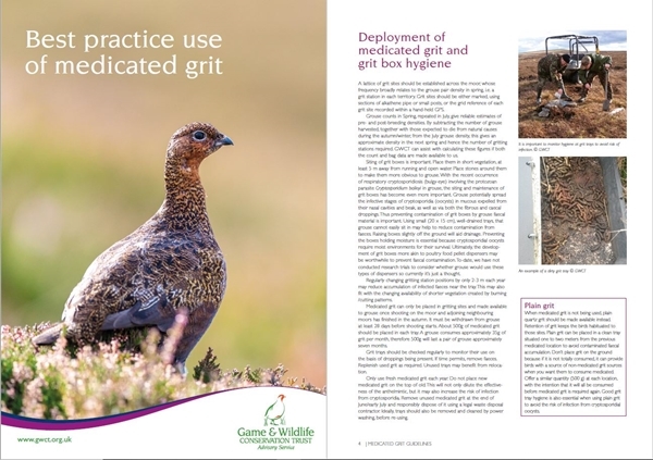 Medicated Grit Medicated Grit