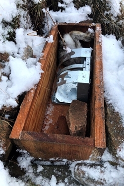Tully trap in single entry baited box