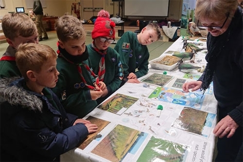 Scouts Scouts