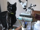 Keeping our research going in unprecedented times