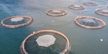Position statement on the tighter regulation of salmon farming