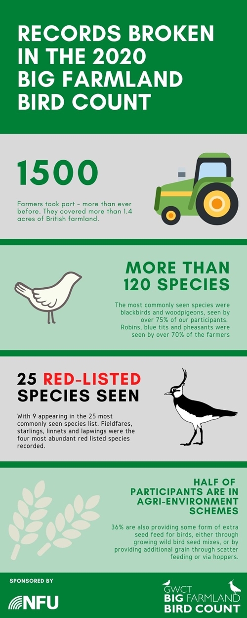 BFBC Infographic BFBC Infographic