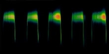 How is the activity of bats affected by agri-environment schemes?