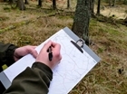 Thrush surveying at Auchnerran