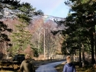Springtime on the Game & Wildlife Scottish Demonstration Farm