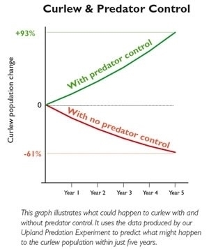 Curewgraph