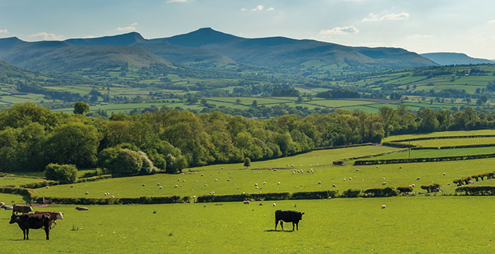 Welsh Working Conservationists