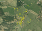 Understanding what curlew need to survive and thrive beyond World Curlew Day