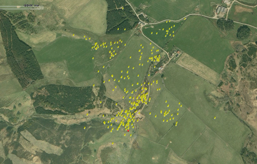Tagged curlew 2019