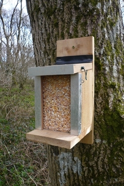 Squirrel hopper