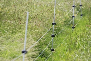 Rappa fencing