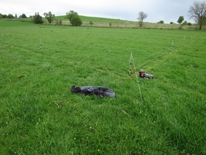 Electric fencing