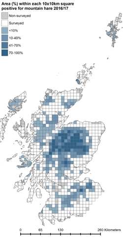 Mountain Hare Numbers 2016