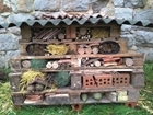 Creating the ultimate insect hotel