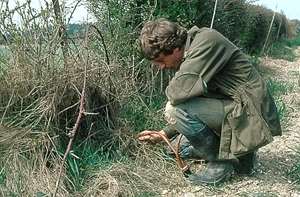 Young Nick Sotherton