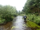 New study questions how brown trout can live in highly toxic metal-polluted environments