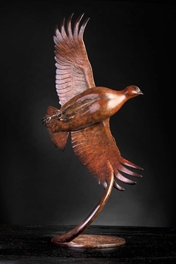 Flushing Partridge (Ian Greensitt)
