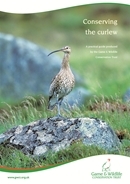 Conserving the Curlew
