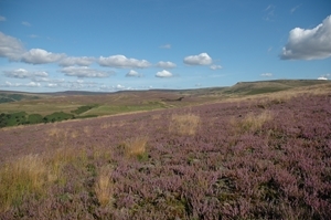 Howden Moor