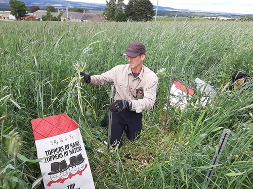 Richard Hewison JHI Doing Field Site Measurements At Stracathro