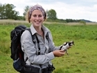 Private land managers drive lapwing recovery in key breeding ground