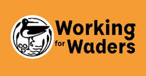 Working For Waders