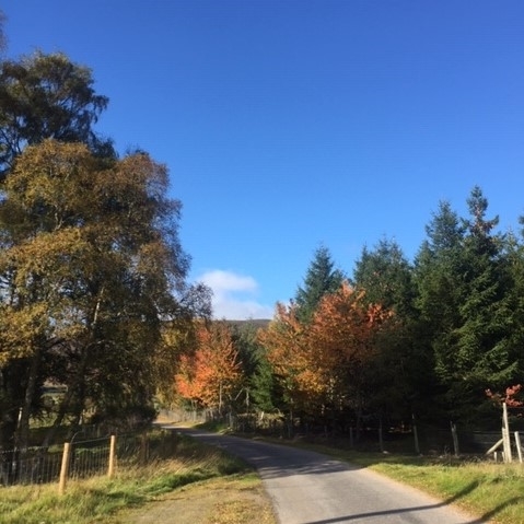 Image 1 Image 1