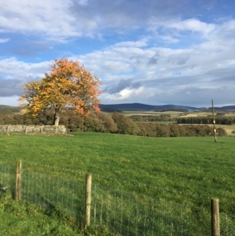 Image 2 Image 2
