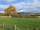 Tree ID and Carbon Auditing at Auchnerran