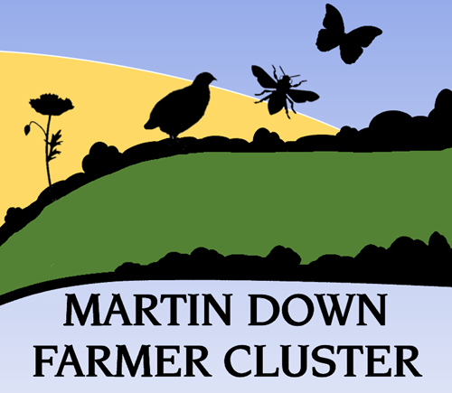 MDFC Logo MDFC Logo