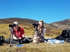 “Challenge yourself in the field” on an undergraduate student placement with the GWCT