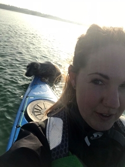 Grey seal on kayak