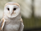 GWCT receives grant of £123,700 from the government’s Green Recovery Challenge Fund