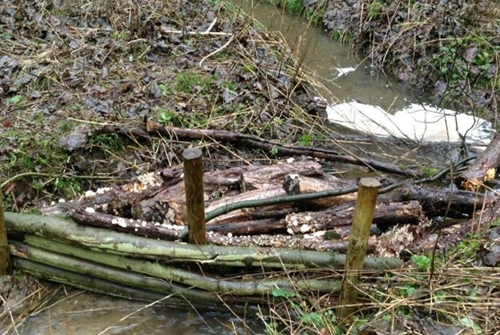 Figure 6: Debris dams made from wood and creating habitats Figure 6: Debris dams made from wood and creating habitats