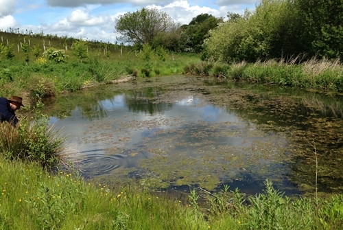 Figure 5: A new clean water pond Figure 5: A new clean water pond