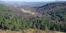 Alternative uses for upland moors