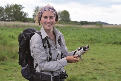 Lizzie Grayshon Has Been Monitoring Lapwing In The Avon Valley