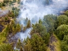 Wildfires – fighting fire with fire?