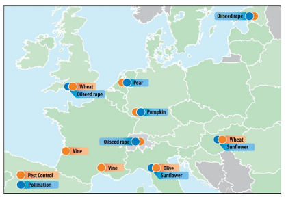 Figure 1: QuESSA case studies across Europe (Sites shown in orange had pest control measurements; sites shown in blue had pollination measurements).