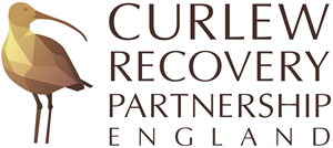 Curlew Recovery Project