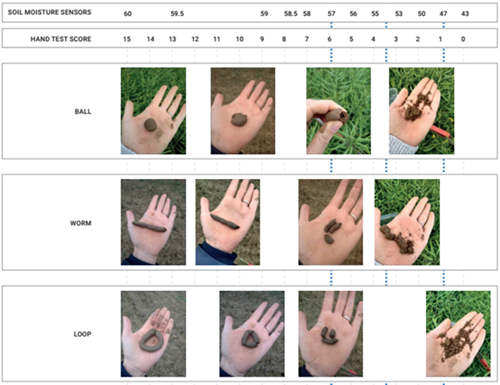 Soil Moisture